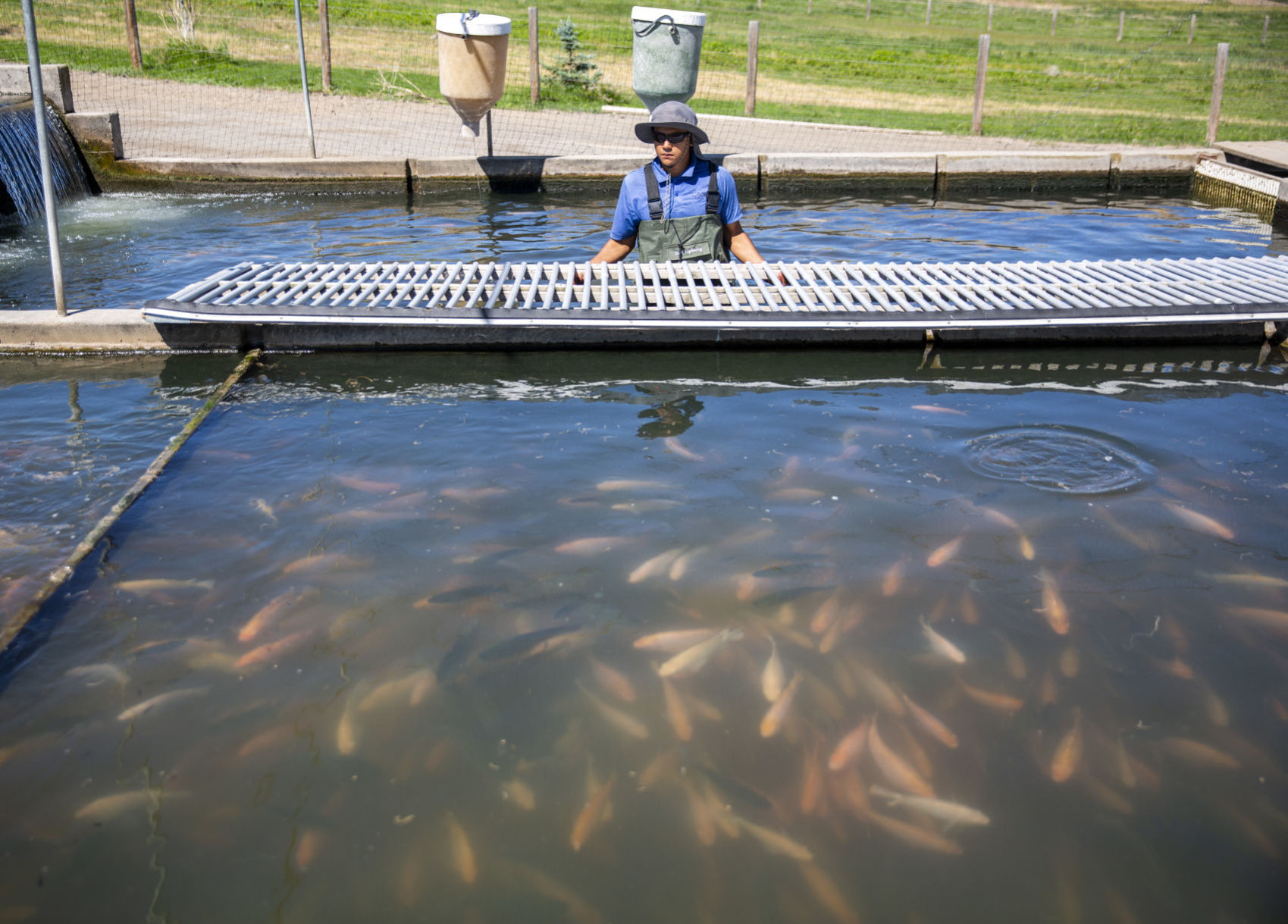 Aquaculture industry takes a hit with coronavirus closures